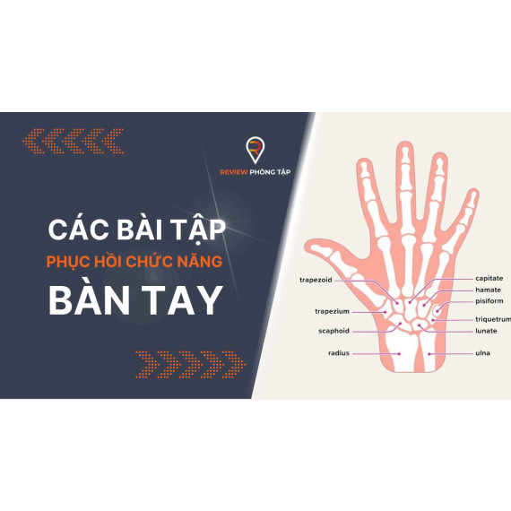 Các Bài Tập Phục Hồi Chức Năng Ngón Tay